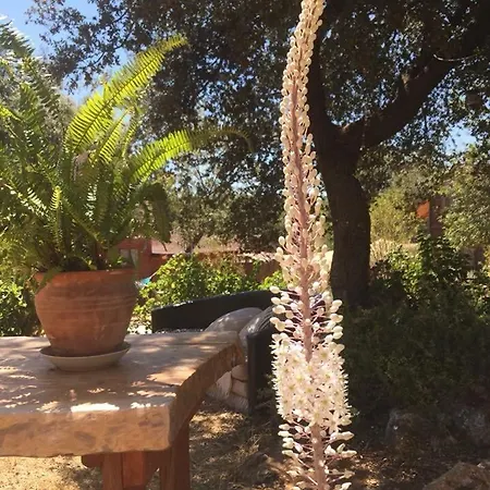 Lantställe Oread Garden