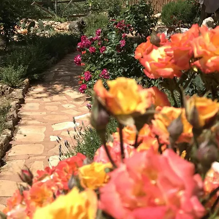 Oread Garden * Kaş