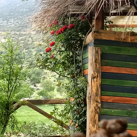 Oread Garden Kaş