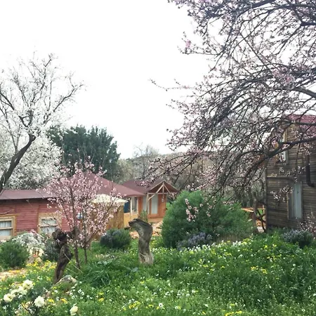 Lantställe Oread Garden Kaş